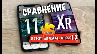 Что выбрать: iPhone 11 или iPhone XR? или Подождать iPhone 12?  Сравнение на опыте использования