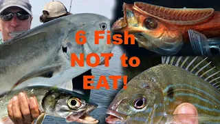 6 Saltwater FISH you should NOT try to eat!