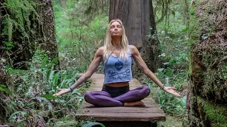 Beautiful Beginner Yoga  ♥ Hatha Class For Everyone  | Tofino