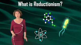 What is Reductionism?