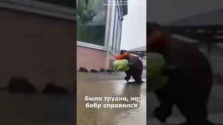 БОБРЫ ГРАБЯТ ОВОЩЕБАЗУ В ТУЛЕ !!!