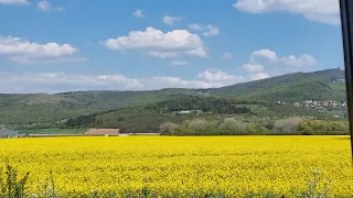 с Украины в ЕС или Канада, бесплатный самолёт с Варшавы в Нью Брансуик