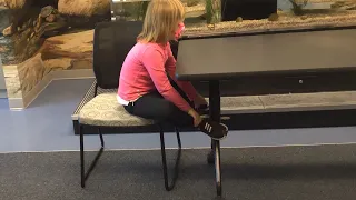 Kids Corner how ocean animals move