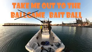 How to find live bait in San Francisco Bay