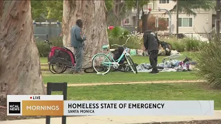 Santa Monica City Council declares homelessness state of emergency