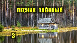 ИСТОРИЯ ГОРБАТОГО ОТШЕЛЬНИКА ЛЕСНИКА СЛУЧАЙ в ТАЙГЕ из ЖИЗНИ ДОМ в ЛЕСУ ЛЮБОВЬ и ГОЛУБИ СЕРИАЛ 3