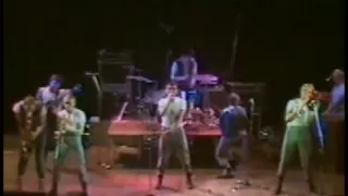 Dexys Midnight Runners - Show Me/There There My Dear - Projected Passion Review Part 1