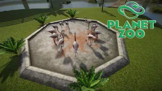 Planet Zoo S2 E15 - Вольер для фламинго