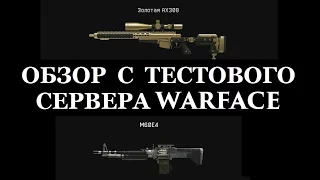 Warface  золотая AX308 и M60E4 test