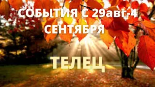 ТЕЛЕЦ ♉️ ТАРО ПРОГНОЗ С 29 Августа-4 Сентября-2022