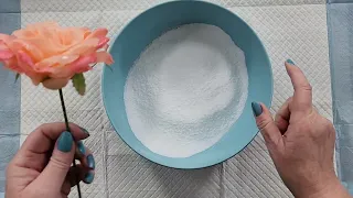 #1939 Borax On A Fabric Flower! Will It Grow Crystals?