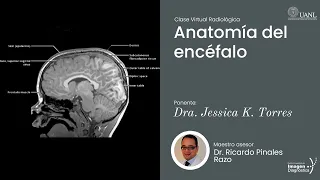 Anatomía del encéfalo por la Dra. Jessica K. Torres