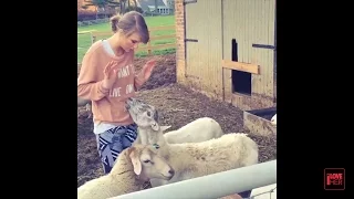 Taylor Swift 'Best & Latest Instagram Videos' 1 -New Video-