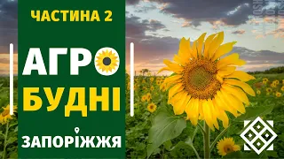 [АгроБудні Запоріжжя] Підживлення по листу (частина 2)