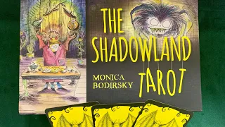 Распаковка и обзор колоды « The Shadowland Tarot» 💀😈👻Таро Страны Теней .