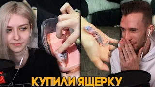 ЗАКВИЕЛЬ КУПИЛ ЯЩЕРКУ МАРИНЕ - Пополнение В Семье