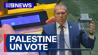 Australian joins vote support for Palestine as UN member | 9 News Australia