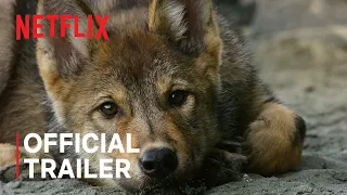 Island of the Sea Wolves | Official Trailer | Netflix