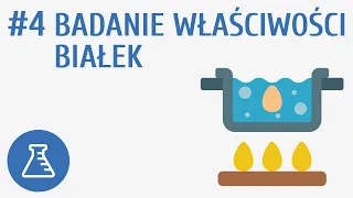 Badanie właściwości białek #4 [ Biologiczne związki organiczne ]