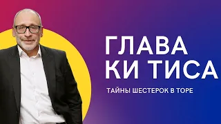 6️⃣ Глава Ки Тиса. Тайны шестерок в Торе | Шломо Александр Лившиц