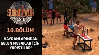 Survivor 2018 | 10. Bölüm | Hayranlarından gelen mesajlar için yarıştılar!