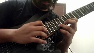 The Afterimage - Pathogen (Solo Cover)