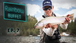 Rainbow Buffet - GIANT Stillwater Rainbow Trout Fly Fishing!