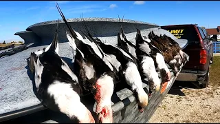 HUNTING SEA DUCKS IN A LAYOUT BOAT ON LAKE MICHIGAN [long-tailed duck] (Oldsquaw)