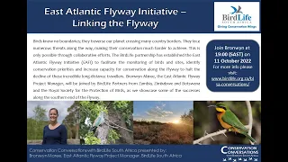 Conservation Conversations: BirdLife's East Atlantic Flyway Initiative (10Oct22)