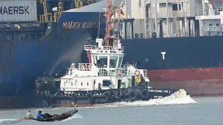 Discover How Small Tugboats Move Massive Ships At Busy Port With Ships | 30 Minutes Shipspotting