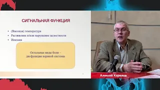 Карелов Алексей об особенностях лечения боли в спине у пожилых