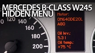 How to enter hidden service menu in Mercedes W245 B-Class (diagnostic mode)