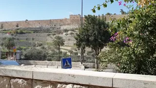 Cum arata Gradina Ghetsimani din Ierusalim, Israel?