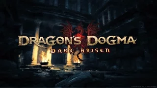 [PC] Dragon's Dogma: Dark Arisen -Korean Patch(Voice: Japanese)