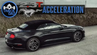 How Fast is the Ecoboost Mustang 2.3L Premium [310HP] | Acceleration Test Review