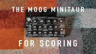 Moog Minitaur - Scoring Demo (NO TALKING)