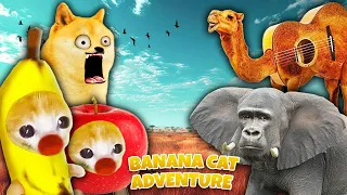 BANANA CAT ADVENTURE 😺 🍌 Baby Banana Cat Compilation 🐱 😿 | Cat Memes