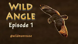 Wild Angle Episode 1 by @wildmanrouse