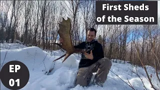 First Sheds of 2021-22 | Moose Shed Hunting 2022