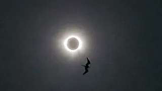Eclipse Solar (Mazatlán, Sinaloa - 2024)