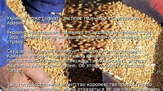 Украина может начать экспорт пшеницы в Саудовскую Аравию