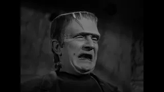 Frankenstein Evolution in movie (1935-2015)