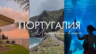 Португалия vlog: Лиссабон, Мадейра / европейские Гавайи