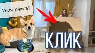 КЛИК - Управление ЖИЗНЬЮ! Таффи, ОСТАНОВИСЬ