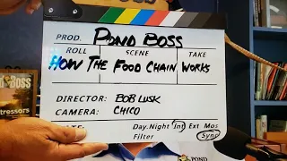 Pond Boss Podcast #9 How the Food chain works