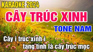 Cây Trúc Xinh Karaoke Tone Nam Nhạc Sống gia huy karaoke