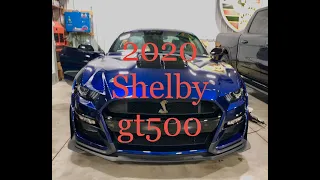 Mustang Shelby GT500 2020!  Первый!