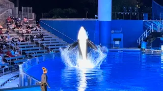 Orca Encounter - Night Time (Full Show in 4K) | SeaWorld Orlando | January 1, 2023