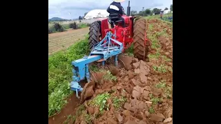 TRABAJANDO CON TRACTOR INTERNACIONAL  ARADO DE TRES DISCOS