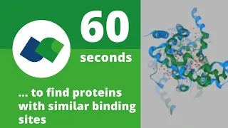 60 seconds to find proteins with similar binding sites